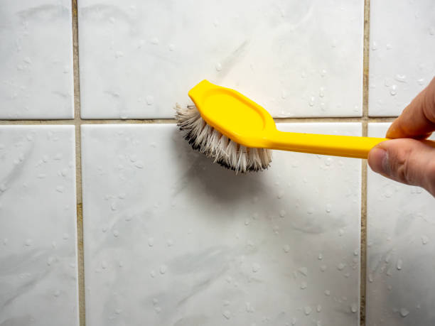 Best Fast Mold Removal  in Bethany, WV