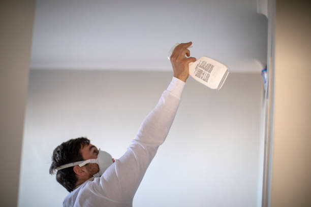 Professional Mold Removal in Bethany, WV