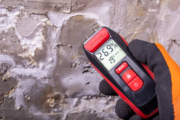 Best Mold Removal Near Me  in Bethany, WV