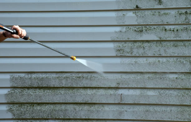 Best Certified Mold Removal  in Bethany, WV