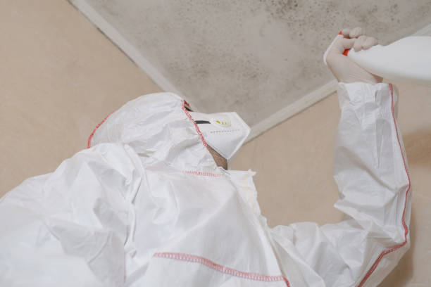 Best Commercial Mold Removal  in Bethany, WV